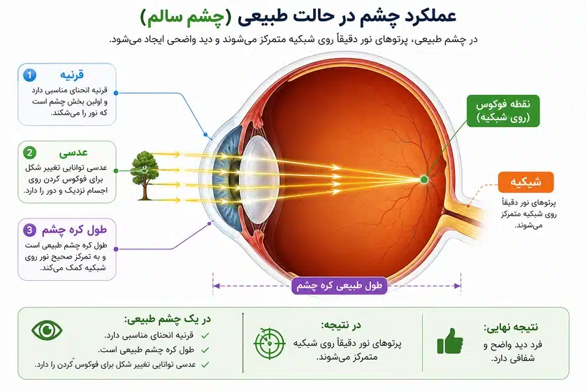 در چشم سالم چه اتفاقی میافتد؟