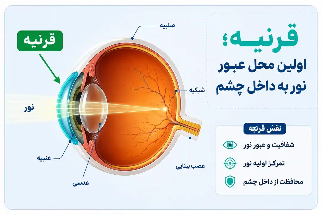 قرنیه چشم چیست و چه وظیفهای دارد؟
