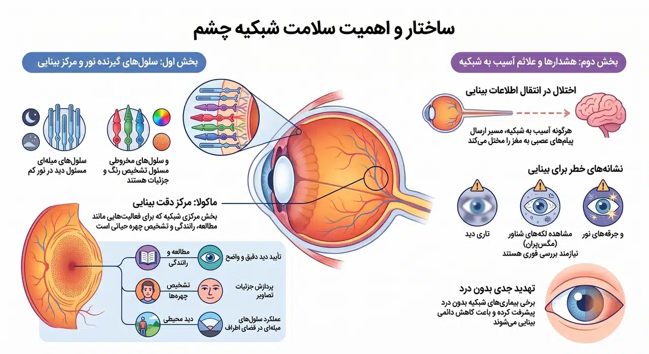 چرا سلامت شبکیه برای بینایی حیاتی است؟